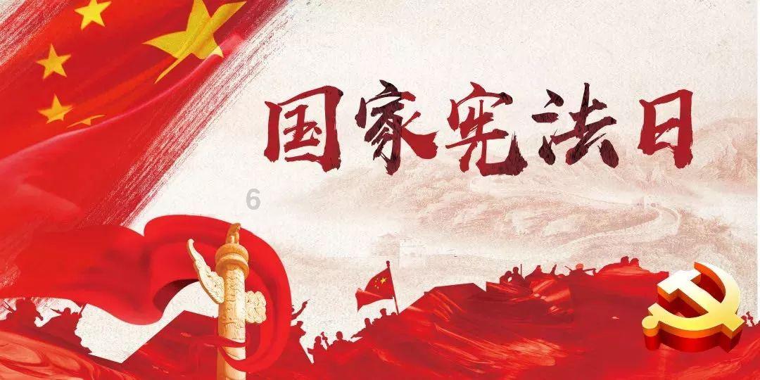 哈尼和她的宠物们